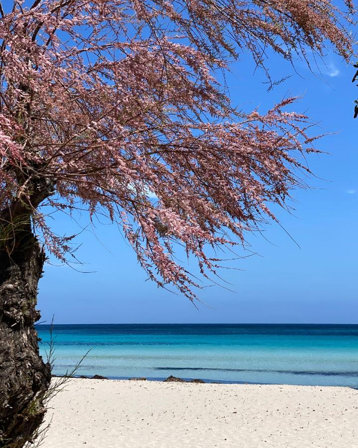 Villa Masetta - Luxury Suites Palermo Dış mekan fotoğraf