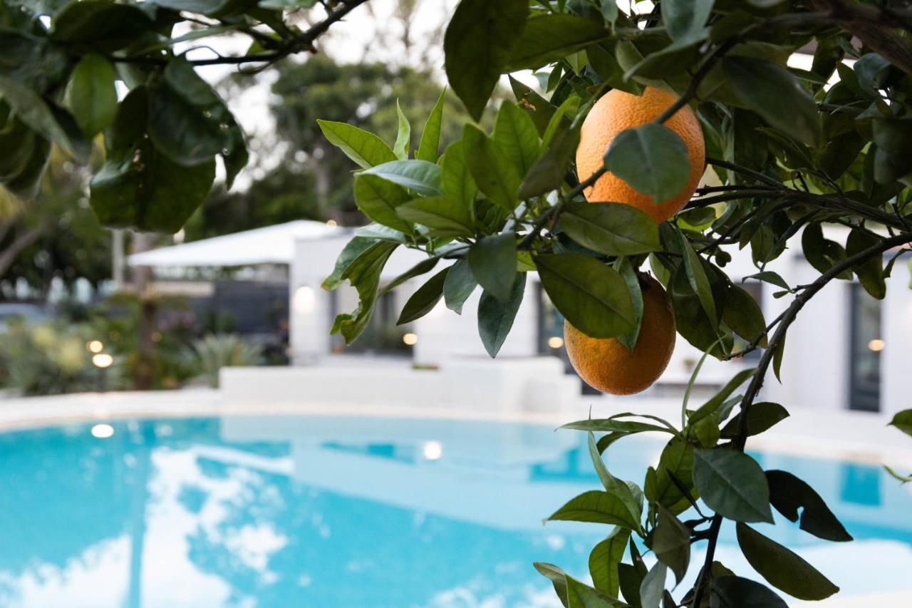 Villa Masetta - Luxury Suites Palermo Dış mekan fotoğraf